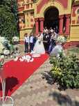 Porumbei evenimente / nunta / botez
