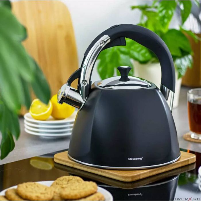 Fierbător tradițional cu fluier fabricat din inox, ceainic 3 litri,