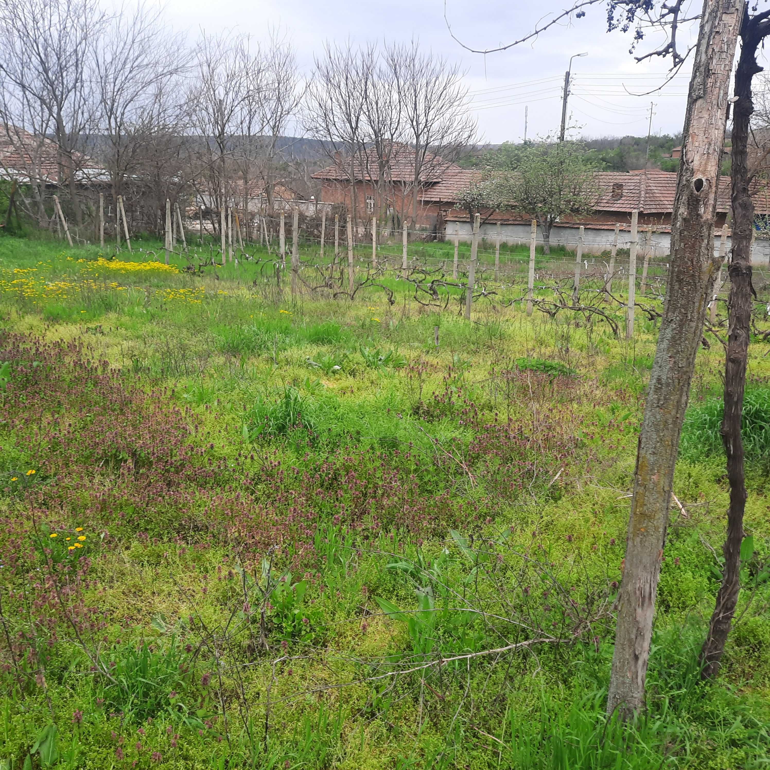 Продавам къща в село Пейчиново област Русе.