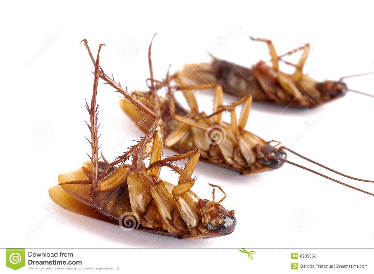 Advion Cockroach Гель от тараканов