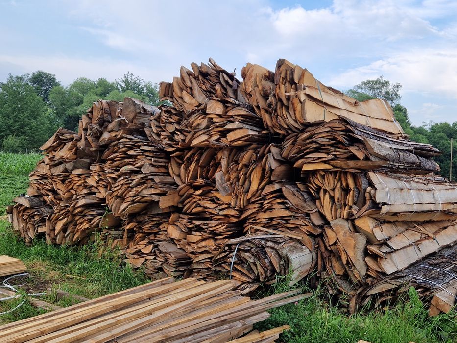 Hartepele Rășinoase Brad