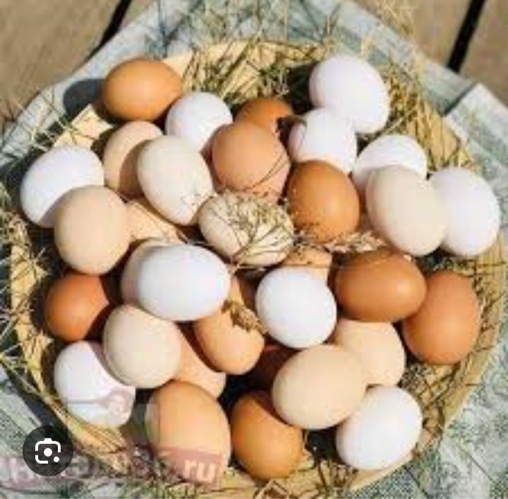 Яйца домашние куриные