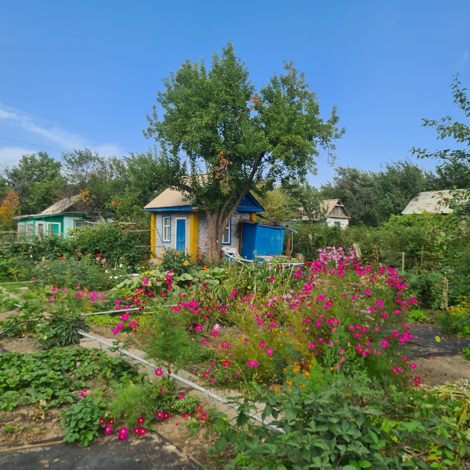 Продам дачу в обществе "Обогатитель".