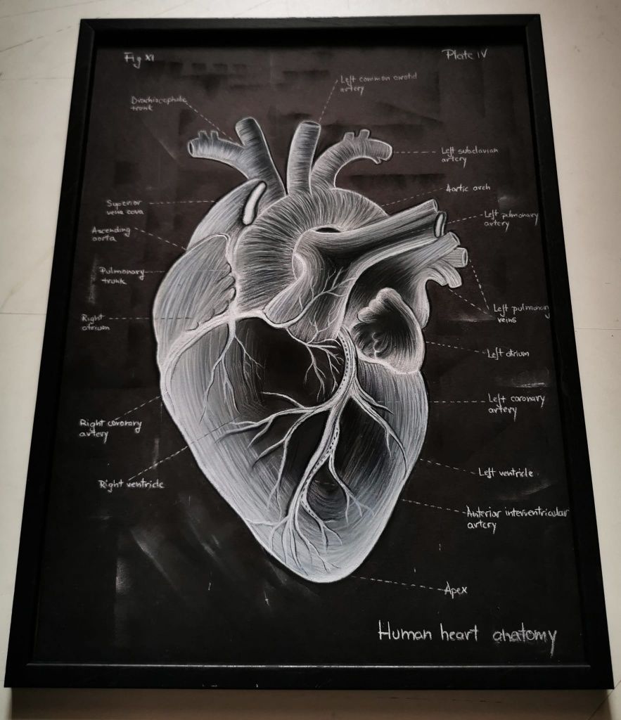 Tablou Anatomia inimii