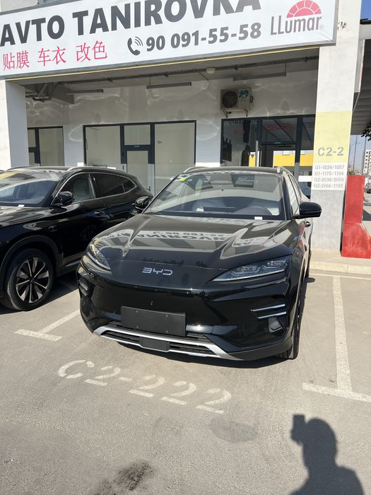 Byd chempion smart