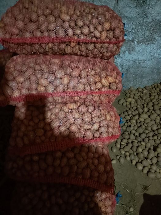 Vând cartofi pentru animale