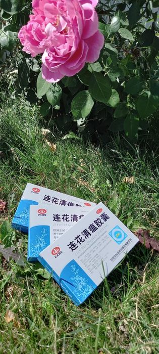 Лянь_хуа лян_хуа линь_хуа лин_хуа