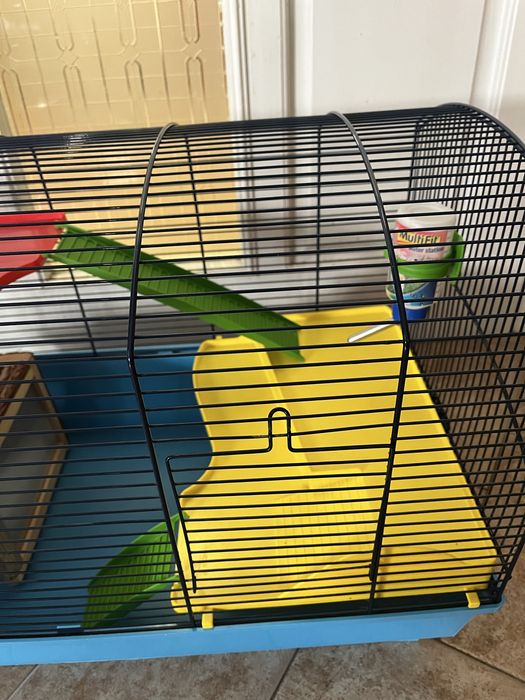 Голяма клетка за гризачи с етажи и къщичка