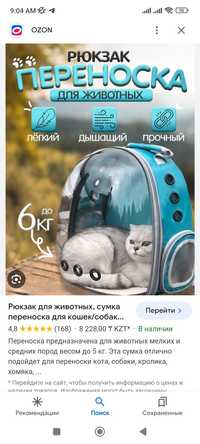 Переноска для кошки