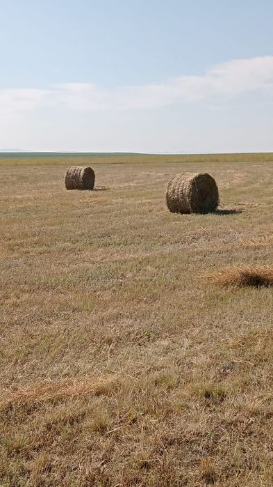 Продам сено, суданка, 9000 тг рулон. Разнотравье+ донник, 9000 рулон.