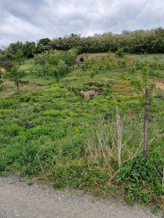 Vand teren intravilan ideal pentru cabana sau corturi glamping