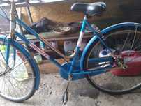 Bicicleta Italia simpla