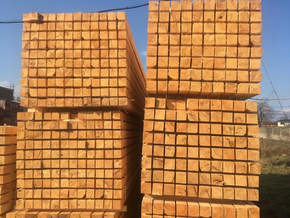 Cherestea rasinoase molid si brad