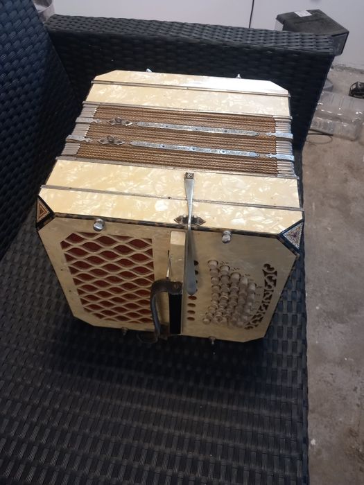 Bandoneon vechi adus din Germania
