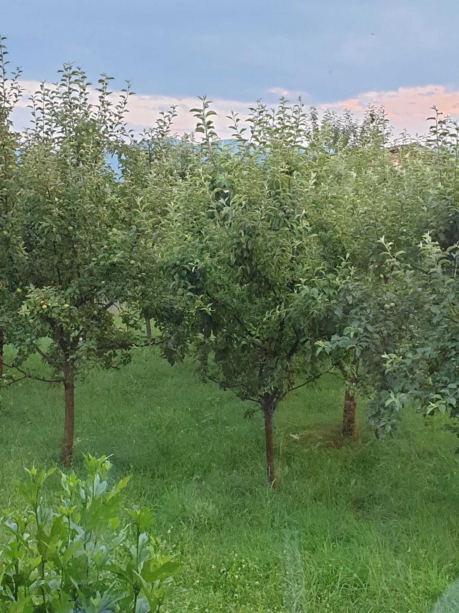 Vând sau schimb casă Șercăița, comuna Șinca Veche, județul Brașov