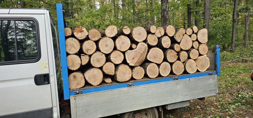 Lemn de foc uscat si verde