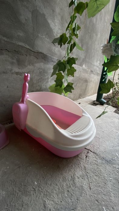 Mushular uchun mahsulotlar