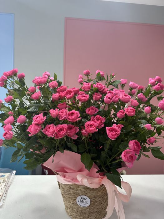 Роза и кустовые розы