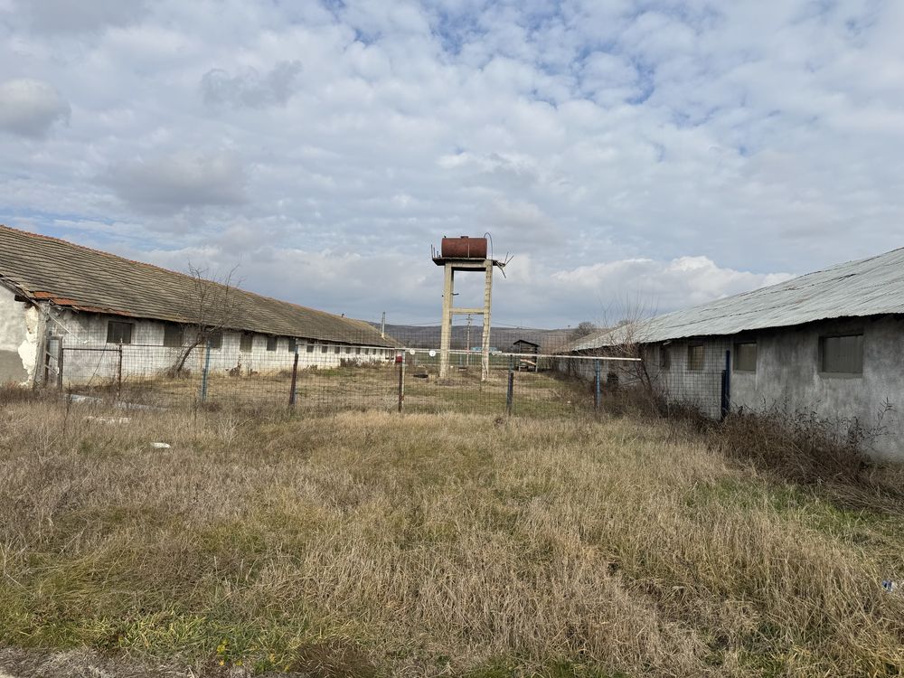 De inchirat hale ,beharca/cotofeni