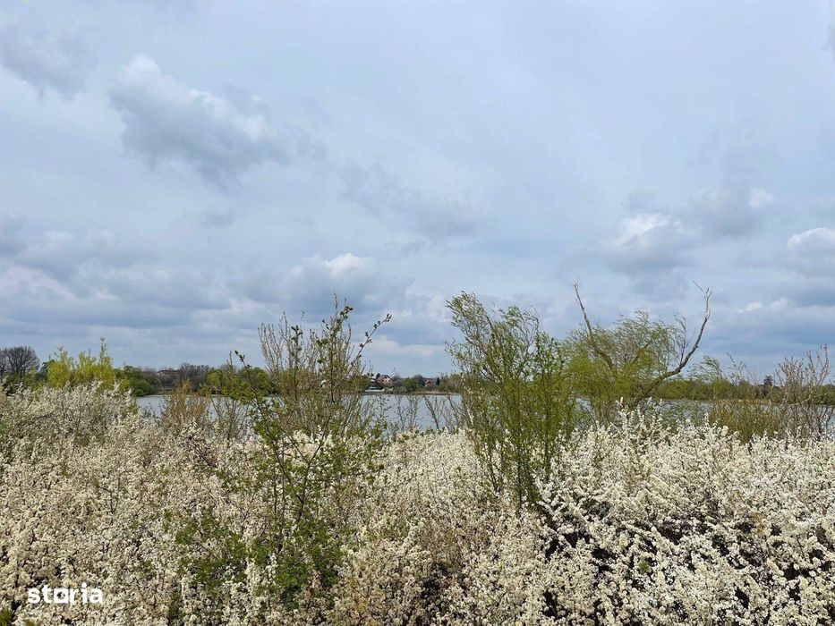 Teren Excepțional cu Deschidere la Lac – Samurcași, Buftea