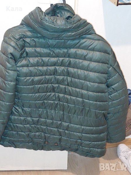 Страхотно дамско зимно яке
