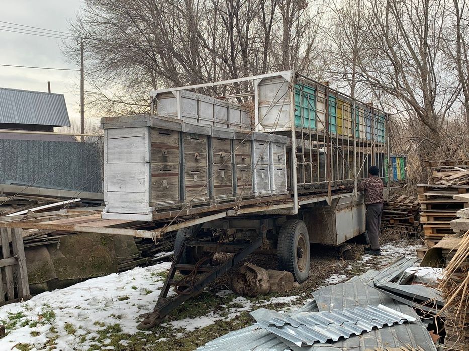 Продам пчёла прицеп