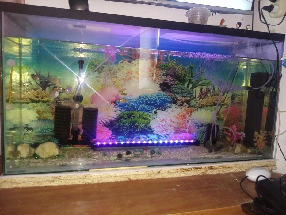 Аквариум 150л с рыбками, компрессор, фильтры, подсветка, автокормушка.