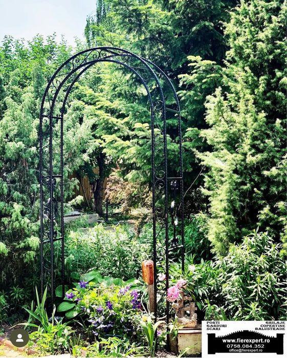 Pergola trandafiri