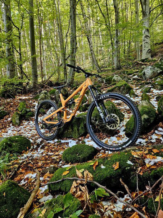 Canyon Spectral 6 2025 XL
