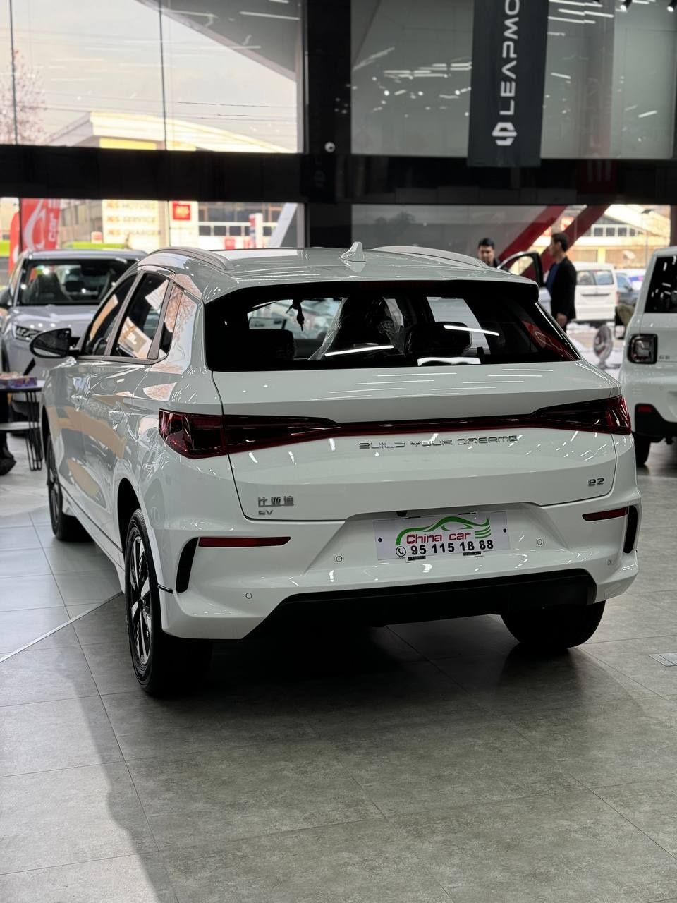 Byd e2 luxry full natariusga tayor