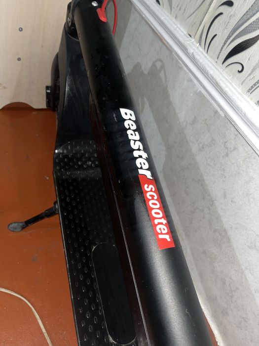 Beaster scooter