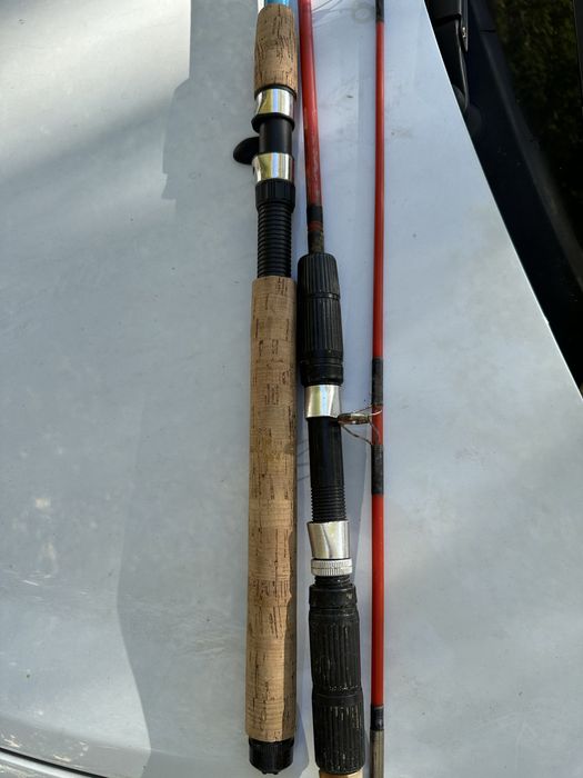 Germina lanseta germina varga cardinal undita