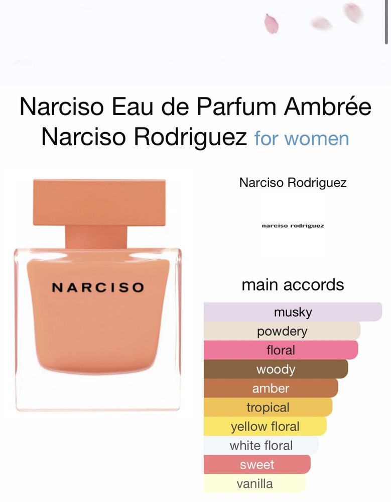 Narciso Rodriguez Ambree