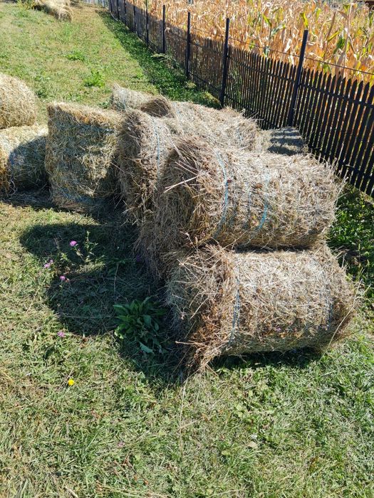 Vând baloți de otavă ,producție 2025 fân iarbă