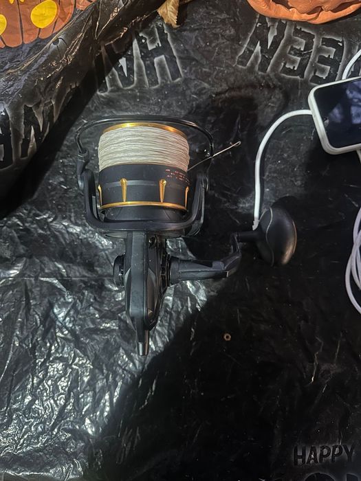 Mukineta Black cat cat extreme 85fd