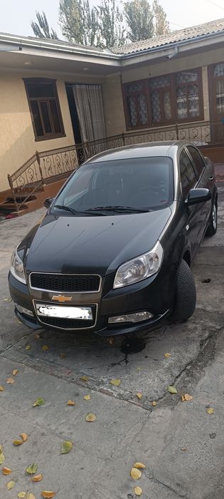 Некция 3 автомат 2022