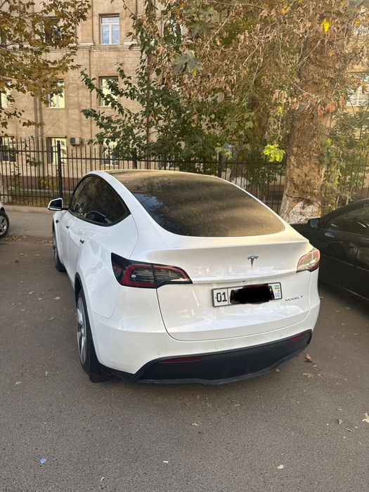 Tesla Model Y  standart