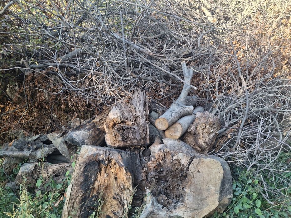 Продаётся большое количество дрова