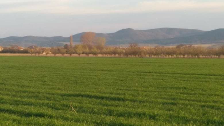 Продава се Земеделски имот в с. Овощник, Област Стара Загора -  кв.м за 3425 €/дка - Снимка #4