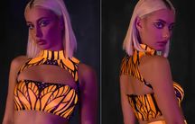 BADINKA Fluttering Dreams Mesh Cutout Top