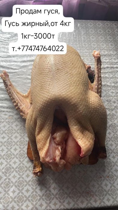 Мясо гуся домашнего