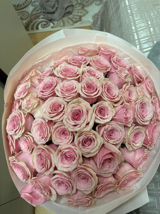 розы 51 шт розовые