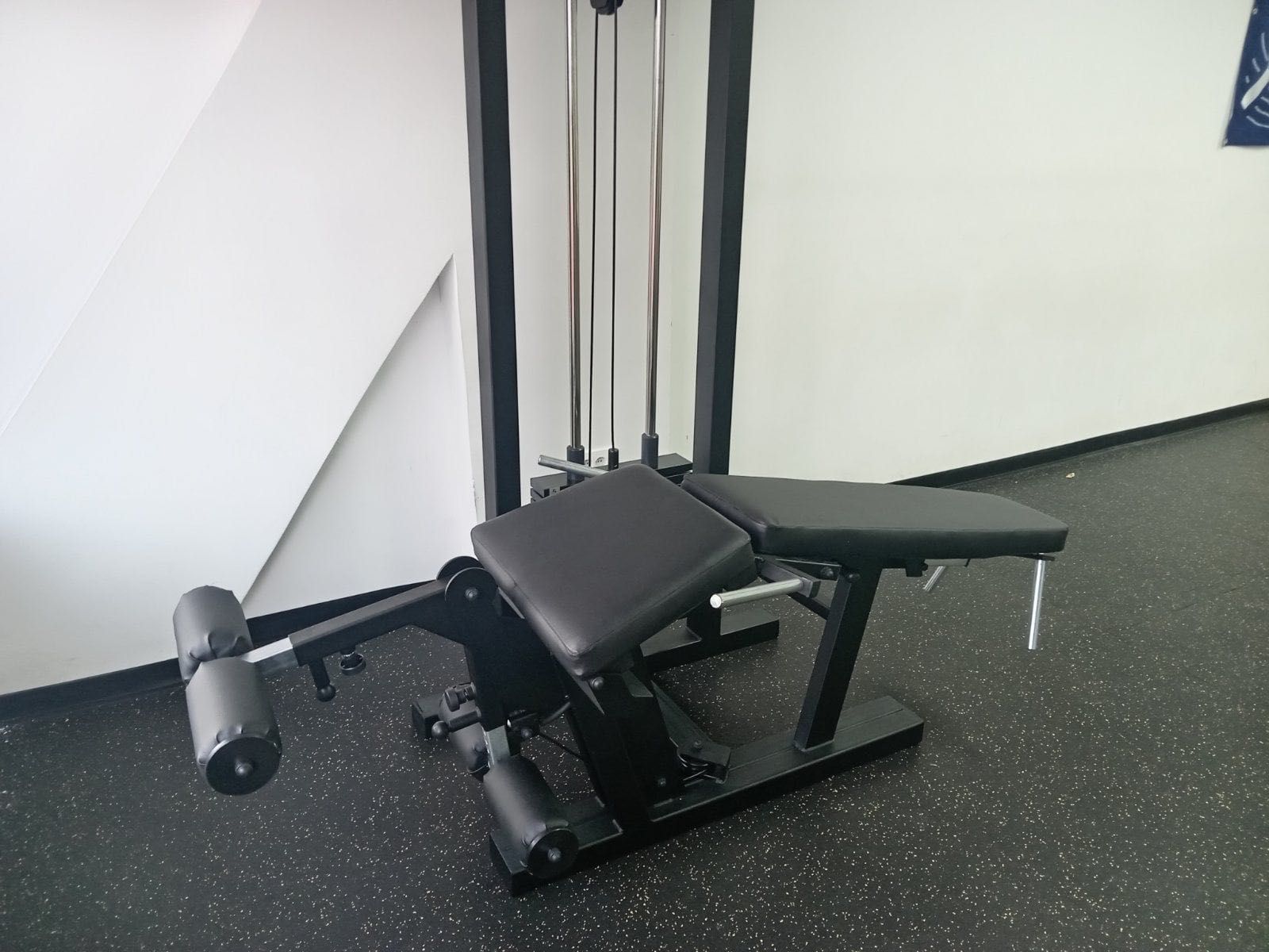 Aparat flexii-extensii picioare combo