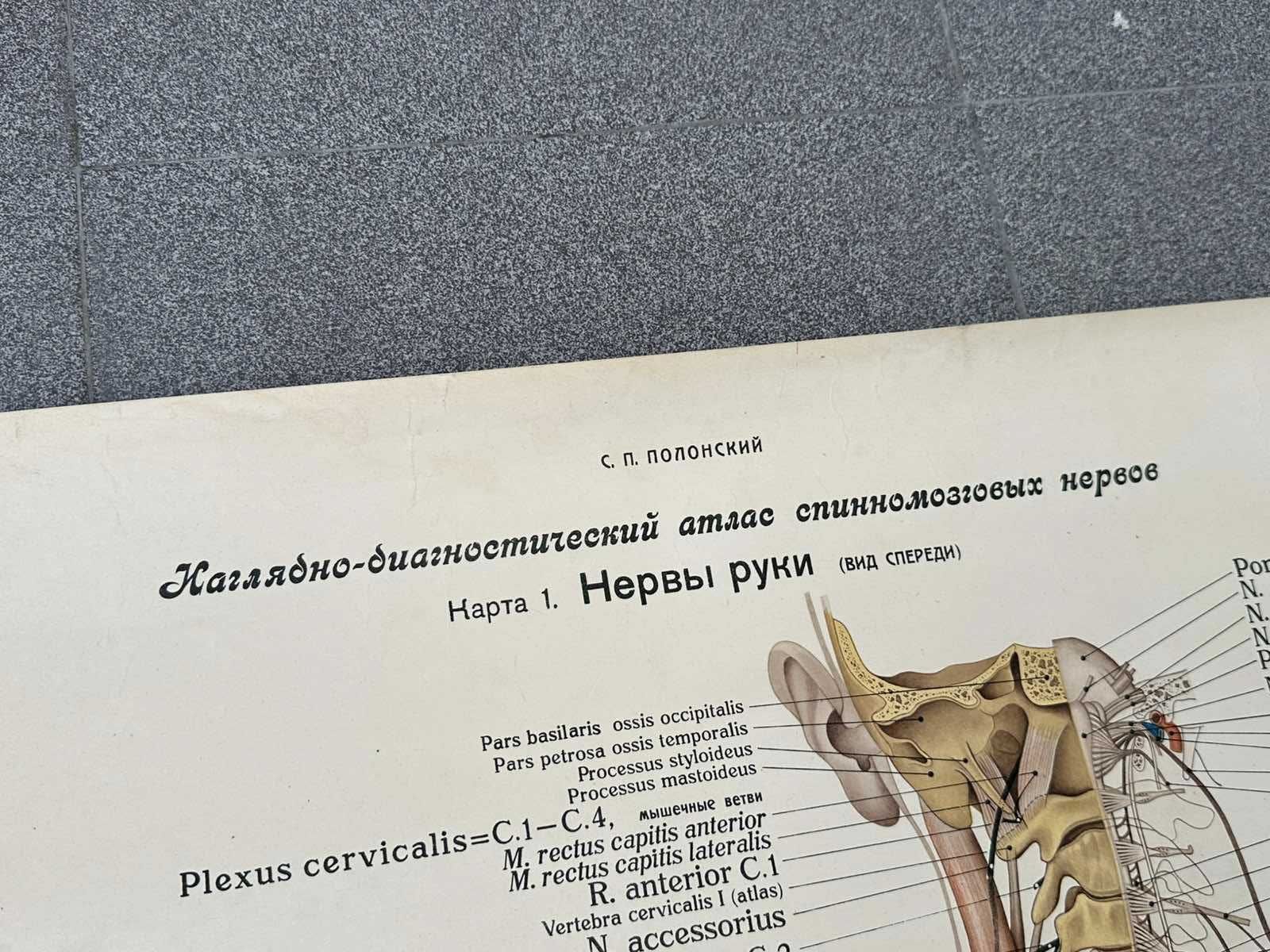 Комплект Соц Медицински Плакати 1951 година