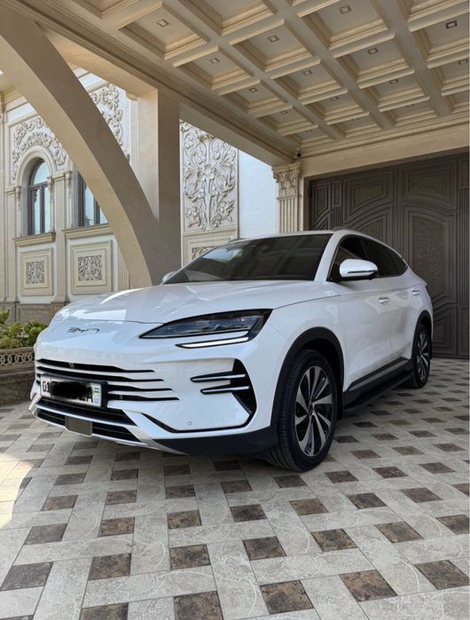 BYD chempion 2025