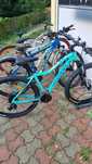 Biciclete diferite modele