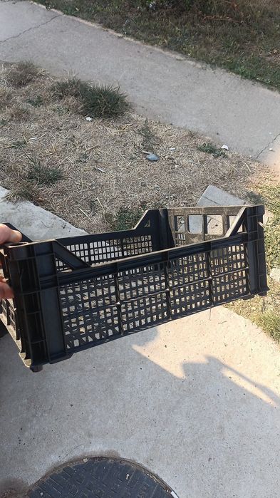 Lădițe de plastic  1,5lei