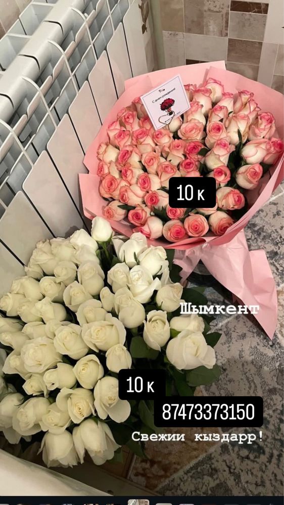 Цветыы Шымкент доступные арзан
