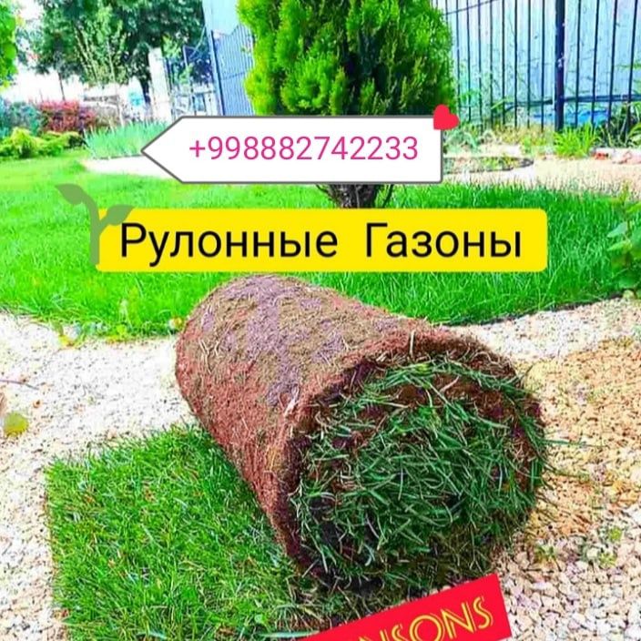 Рулонный газон с доставкой и укладкой по супер цене.