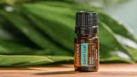 Ulei esențial de Dafin (Laurel leaf) doTerra
*5 ml